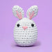 The Bunny Crochet Kit